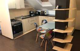 Apartament generos cu 1 camera tip studio, 50 mp, terasa 50mp, zona Leroy Merlin