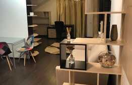 Apartament generos cu 1 camera tip studio, 50 mp, terasa 50mp, zona Leroy Merlin