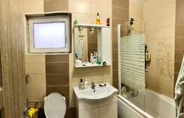 Casa curte individuala, tip duplex, zona Triaj