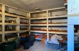 Casa pretabila pentru pensiune SPA, 200 mp utili, 1000 mp teren, Tarlungeni