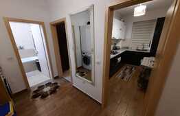 Apartament 2 camere plus gradina Tractoru 