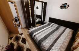 Apartament 2 camere plus gradina Tractoru 