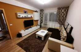 Apartament 2 camere plus gradina Tractoru 