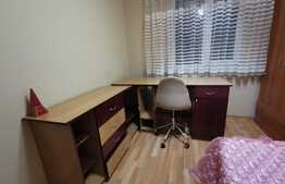 Apartament cu 3 camere, 65 de mp, pet friendly, zona strazii Big