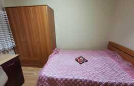 Apartament cu 3 camere, 65 de mp, pet friendly, zona strazii Big