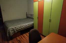 Apartament cu 3 camere, 65 de mp, pet friendly, zona strazii Big