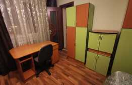 Apartament cu 3 camere, 65 de mp, pet friendly, zona strazii Big