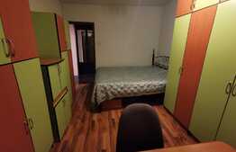 Apartament cu 3 camere, 65 de mp, pet friendly, zona strazii Big