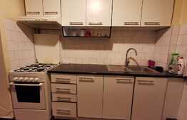 Apartament cu 3 camere, 65 de mp, pet friendly, zona strazii Big