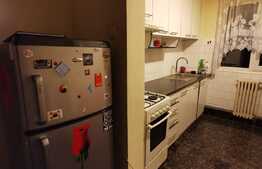 Apartament cu 3 camere, 65 de mp, pet friendly, zona strazii Big