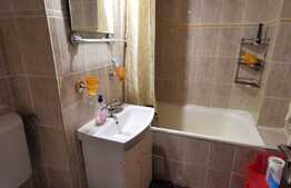 Apartament cu 3 camere, 65 de mp, pet friendly, zona strazii Big