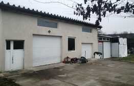 Casa pe un nivel, 100 mp utili, 600 mp teren