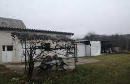 Casa pe un nivel, 100 mp utili, 600 mp teren