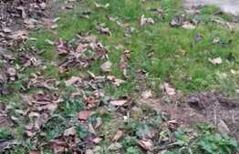 Casa de vanzare, 124 mp, 299 mp teren, front 13 m, zona accesibila!