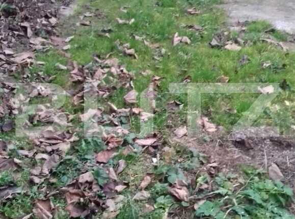 Casa de vânzare 2 camere Grigorescu - 58991CV | BLITZ Cluj-Napoca | Poza2