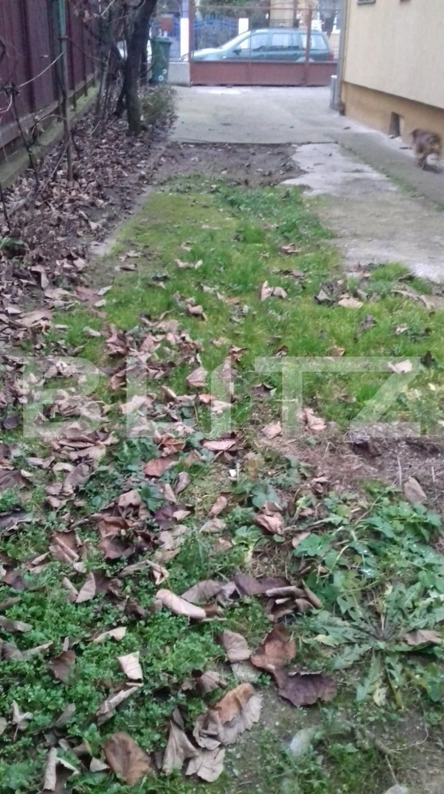 Casa de vânzare 2 camere Grigorescu - 58991CV | BLITZ Cluj-Napoca | Poza2