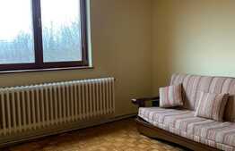 Apartament cu 2 camere, 53 mp, zona Centrala