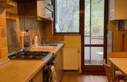 Apartament cu 2 camere, 53 mp, zona Centrala