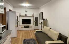 Apartament 2 camere, 48 mp, Drumul cu Plopi!!