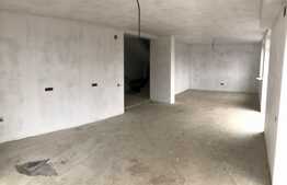 Casa tip duplex, 120mp utili, stadiul de alb, Stupini