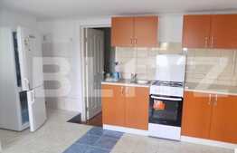 1 camera, 50 mp, decomandat, renovat recent, zona strazii Eftimie Murgu