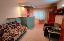 Garsoniera cocheta ideala pentru investitie, 21mp, zona Lombului