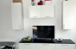 Apartament o camera, 40 mp, zona Vivo