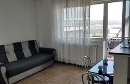 Apartament o camera, 40 mp, zona Vivo