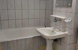 Garsoniera cocheta ideala pentru investitie, 27mp, zona Expo Transilvania