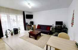 Apartament 2 camere, zona strazii Stejarului!