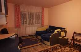 Apartament cu 2 camere decomandate, 54 de mp, pet friendly, zona strazii Dambovitei