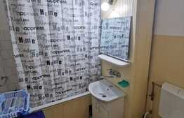 Apartament cu 2 camere decomandate, 54 de mp, pet friendly, zona strazii Dambovitei