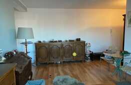 Apartament deosebit, 2 camere, 48mp zona Terra!