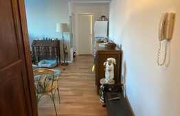 Apartament deosebit, 2 camere, 48mp zona Terra!