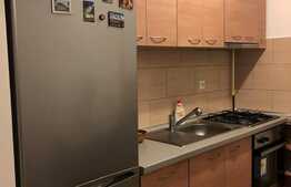 Apartament 2 camere, 57 mp, mobilat, zona Teilor!