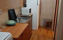Apartament cu o camera, 50 mp, zona Eroilor