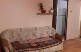 Apartament cu o camera, 50 mp, zona Eroilor