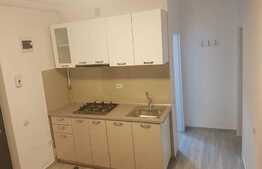 Apartament 2 mobilat modern, 50 mp, zona strazii Anton Pann, Centrala