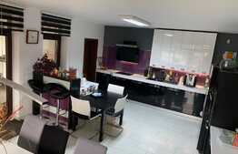 De vanzare casa individuala, 418 mp utili, 1500 mp teren, zona linistita 