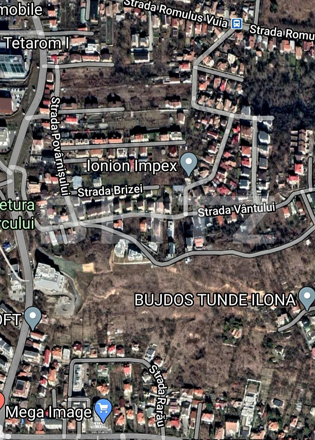 Teren de vânzare Gruia - 59175TV | BLITZ Cluj-Napoca | Poza9