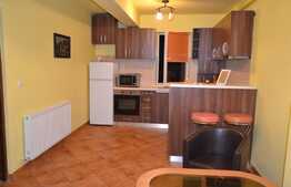 Apartament 2 camere, 46 mp, zona Florilor