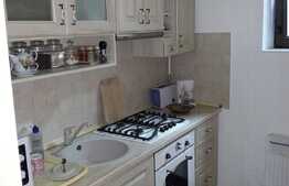 Apartament 1 camere, 50 mp, zona strazii Victor Babes 