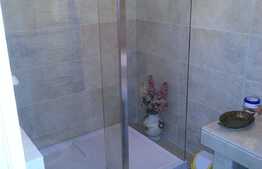 Apartament 1 camere, 50 mp, zona strazii Victor Babes 