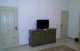 Apartament 1 camere, 50 mp, zona strazii Victor Babes 