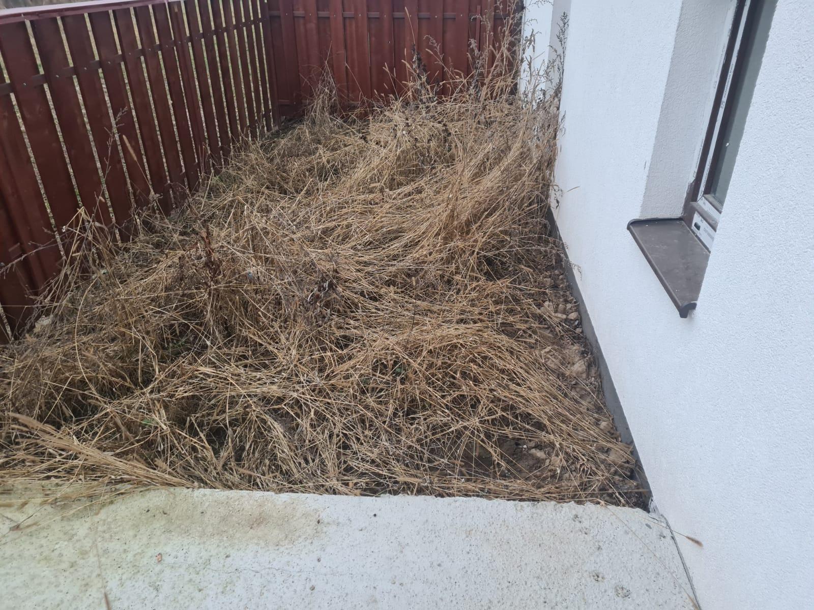 Casa de vânzare 4 camere Floreşti - 59458CV | BLITZ Cluj-Napoca | Poza14