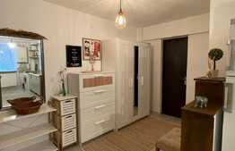 Apatament 1 camera, 40 mp, pet friendly, zona strazii Buna Ziua