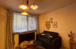 Apatament 1 camera, 40 mp, pet friendly, zona strazii Buna Ziua