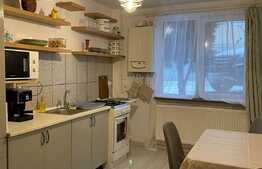 Apatament 1 camera, 40 mp, pet friendly, zona strazii Buna Ziua