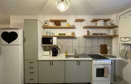 Apatament 1 camera, 40 mp, pet friendly, zona strazii Buna Ziua