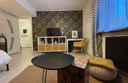 Apatament 1 camera, 40 mp, pet friendly, zona strazii Buna Ziua